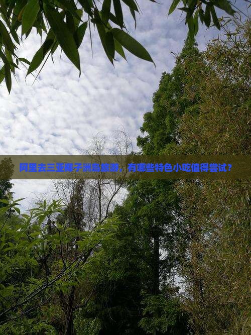 阿里去三亚椰子洲岛旅游，有哪些特色小吃值得尝试？