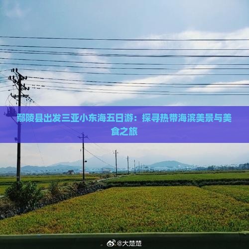 鄢陵县出发三亚小东海五日游：探寻热带海滨美景与美食之旅