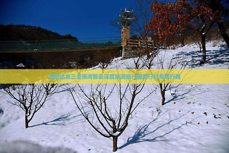 岳阳出发三亚南湾猴岛深度旅游旅行团旅行社专属行程
