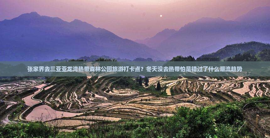 张家界去三亚亚龙湾热带森林公园旅游打卡点？冬天没去热带怕是错过了什么潮流趋势