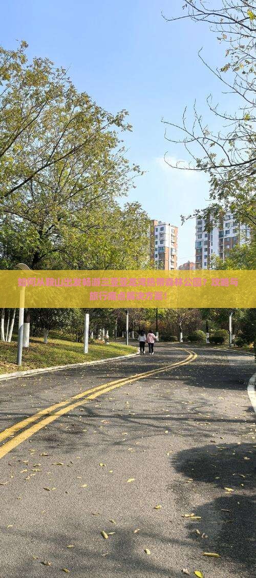 如何从鞍山出发畅游三亚亚龙湾热带森林公园？攻略与旅行痛点解决方案！