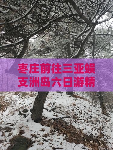 枣庄前往三亚蜈支洲岛六日游精彩旅程推荐