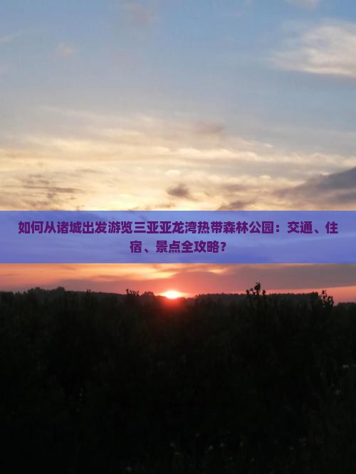 如何从诸城出发游览三亚亚龙湾热带森林公园：交通、住宿、景点全攻略？