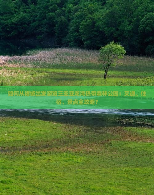 如何从诸城出发游览三亚亚龙湾热带森林公园：交通、住宿、景点全攻略？