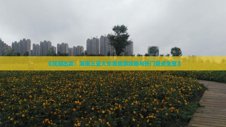 《抚顺出发：海南三亚大东海旅游攻略与热门景点全览》