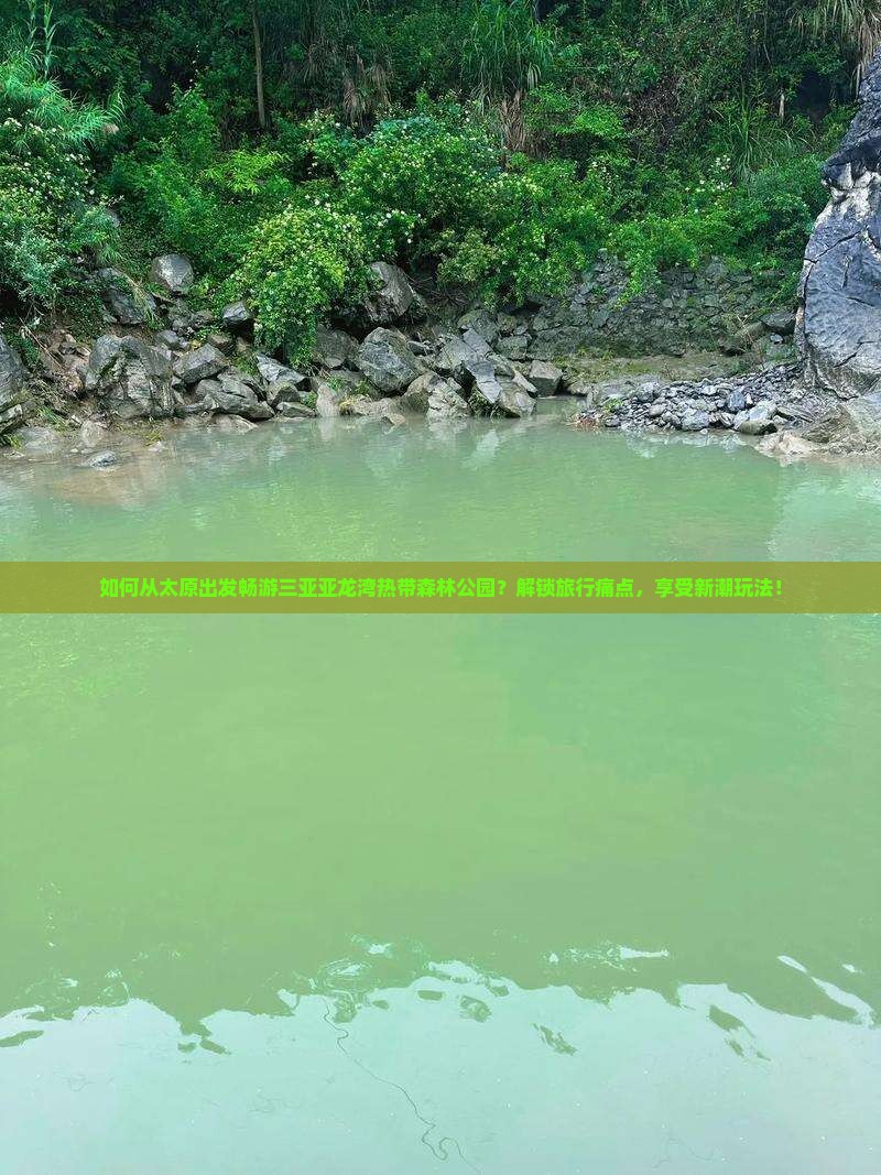 如何从太原出发畅游三亚亚龙湾热带森林公园？解锁旅行痛点，享受新潮玩法！