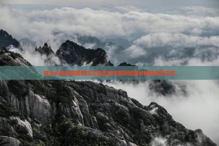 珠海大型旅游团前往三亚亚龙湾国际玫瑰谷畅游美景之旅