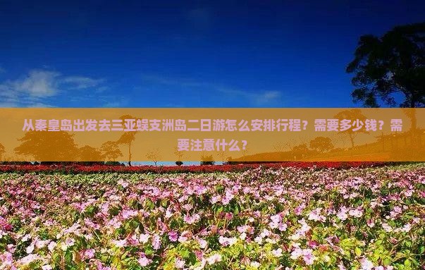 从秦皇岛出发去三亚蜈支洲岛二日游怎么安排行程？需要多少钱？需要注意什么？