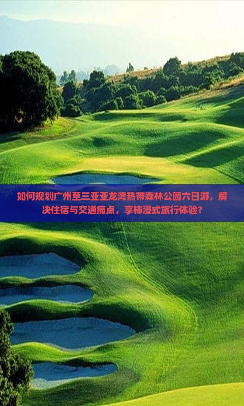 如何规划广州至三亚亚龙湾热带森林公园六日游，解决住宿与交通痛点，享柿浸式旅行体验？