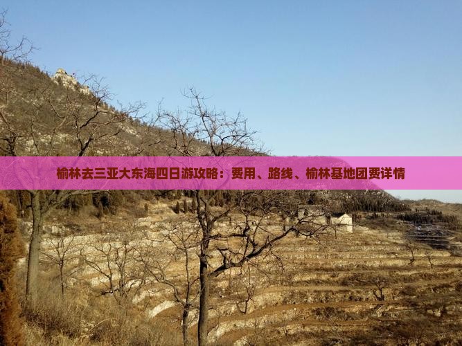 榆林去三亚大东海四日游攻略：费用、路线、榆林基地团费详情