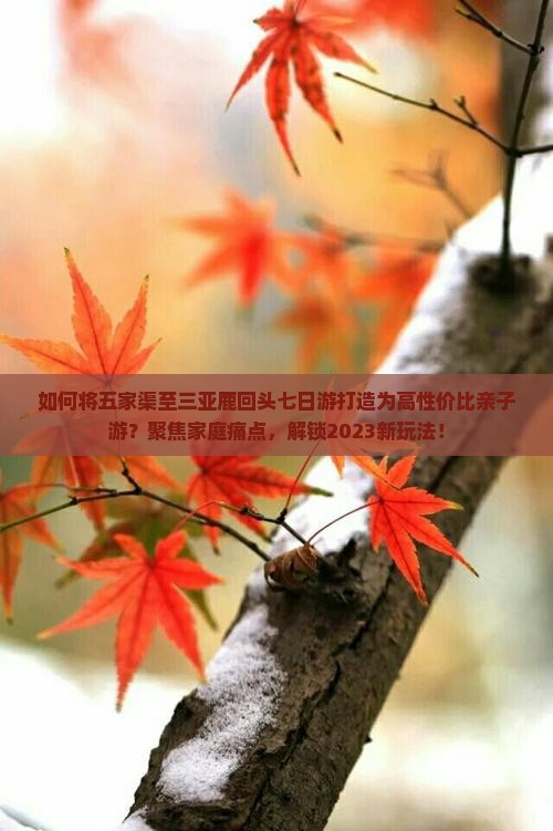 如何将五家渠至三亚鹿回头七日游打造为高性价比亲子游？聚焦家庭痛点，解锁2023新玩法！