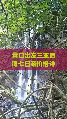 营口出发三亚后海七日游价格详情