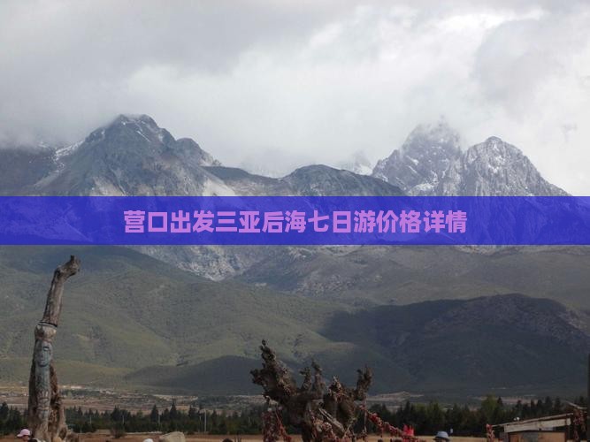 营口出发三亚后海七日游价格详情