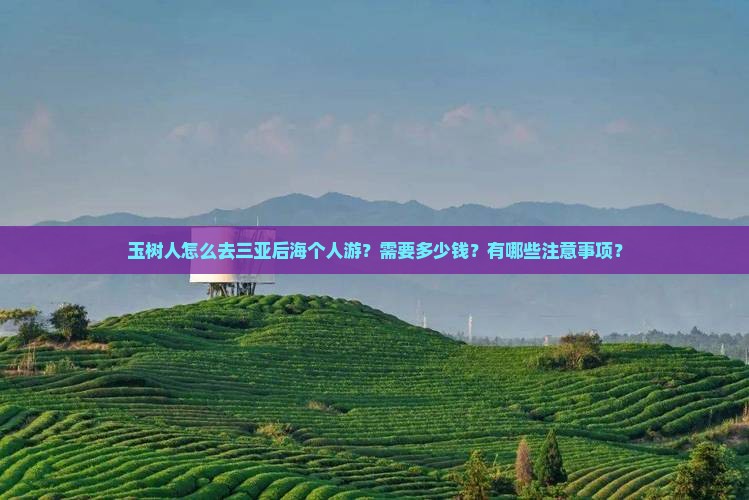 玉树人怎么去三亚后海个人游？需要多少钱？有哪些注意事项？