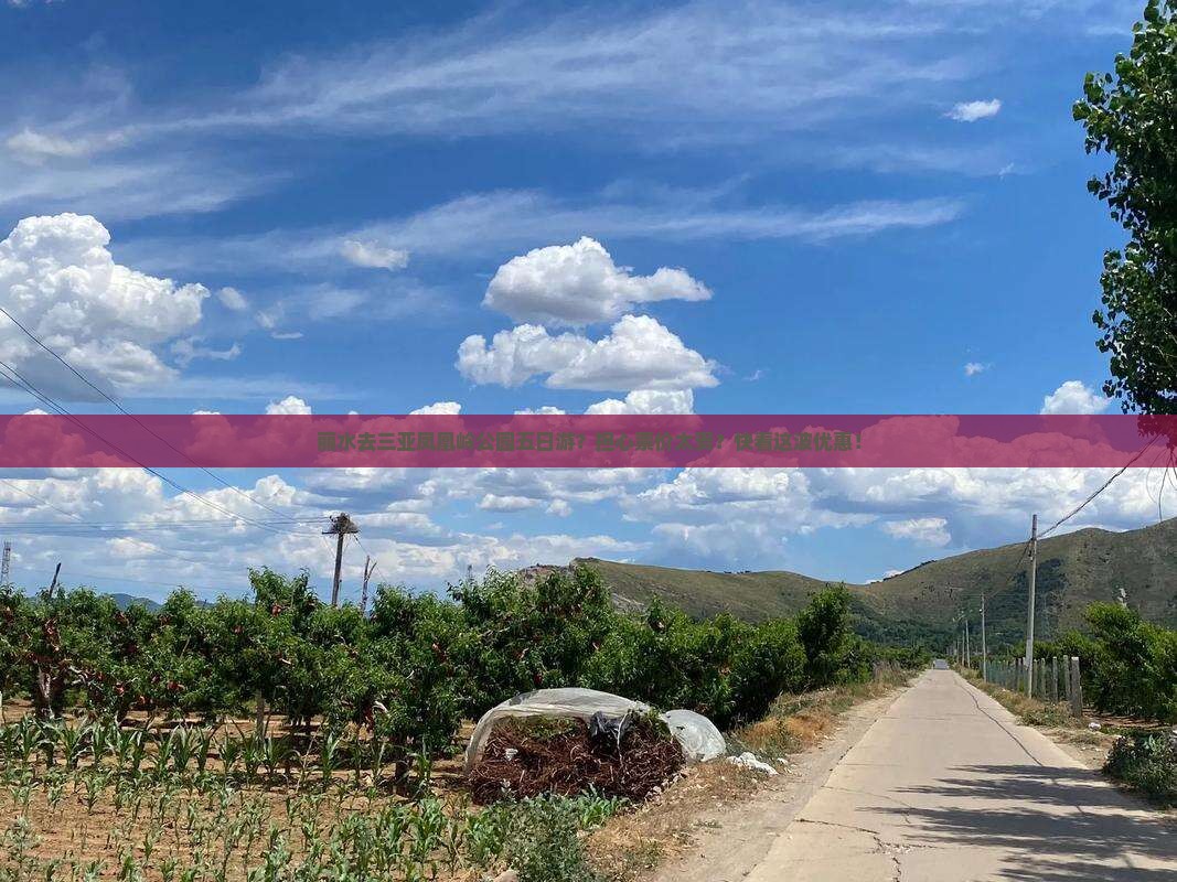 丽水去三亚凤凰岭公园五日游？担心票价太贵？快看这波优惠！