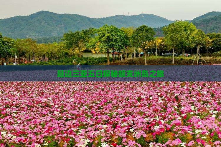 延边三亚五日探秘蜈支洲岛之旅
