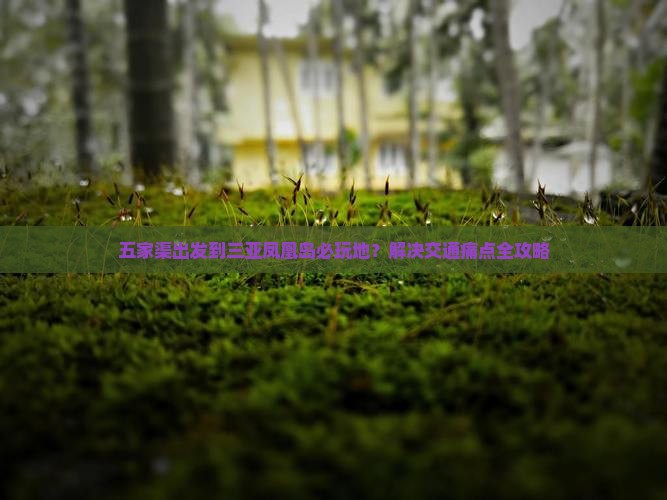 五家渠出发到三亚凤凰岛必玩地？解决交通痛点全攻略