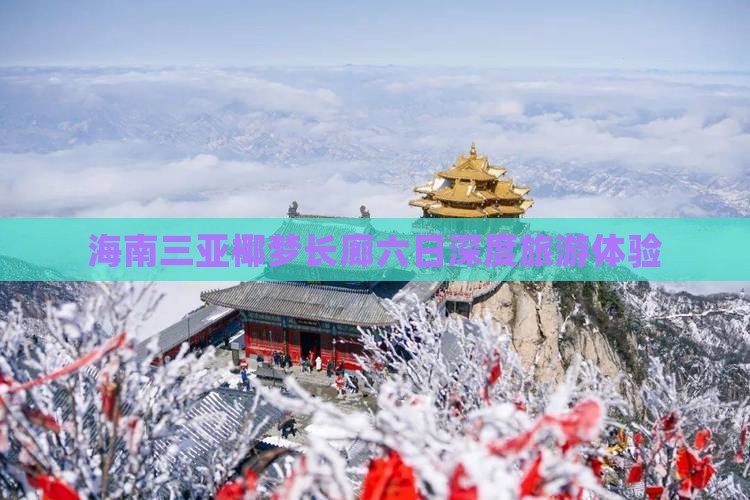 海南三亚椰梦长廊六日深度旅游体验