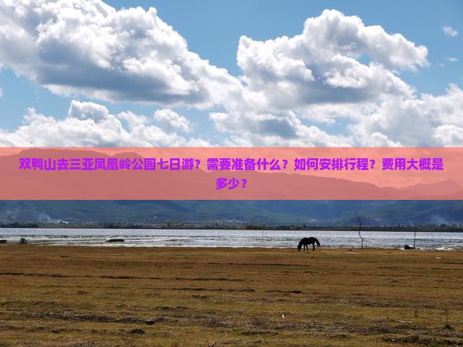 双鸭山去三亚凤凰岭公园七日游？需要准备什么？如何安排行程？费用大概是多少？