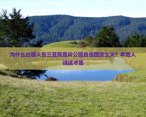 为什么白银人去三亚凤凰岭公园自由团这么火？本地人说这才是