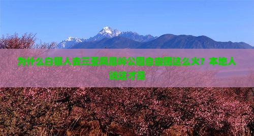为什么白银人去三亚凤凰岭公园自由团这么火？本地人说这才是