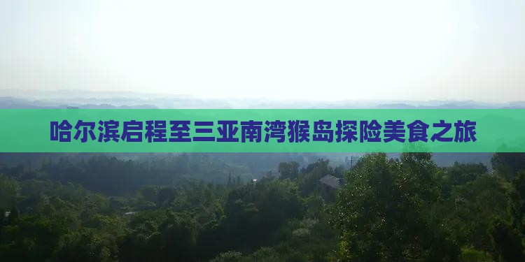 哈尔滨启程至三亚南湾猴岛探险美食之旅