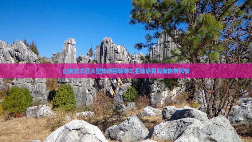 山南去三亚大型旅游团畅游三亚湾感受海南热带风情