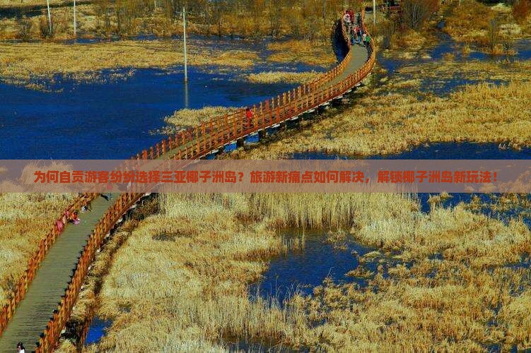 为何自贡游客纷纷选择三亚椰子洲岛？旅游新痛点如何解决，解锁椰子洲岛新玩法！
