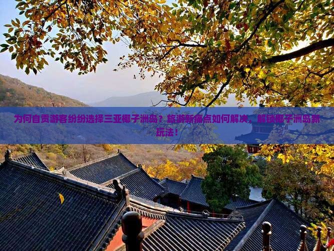为何自贡游客纷纷选择三亚椰子洲岛？旅游新痛点如何解决，解锁椰子洲岛新玩法！