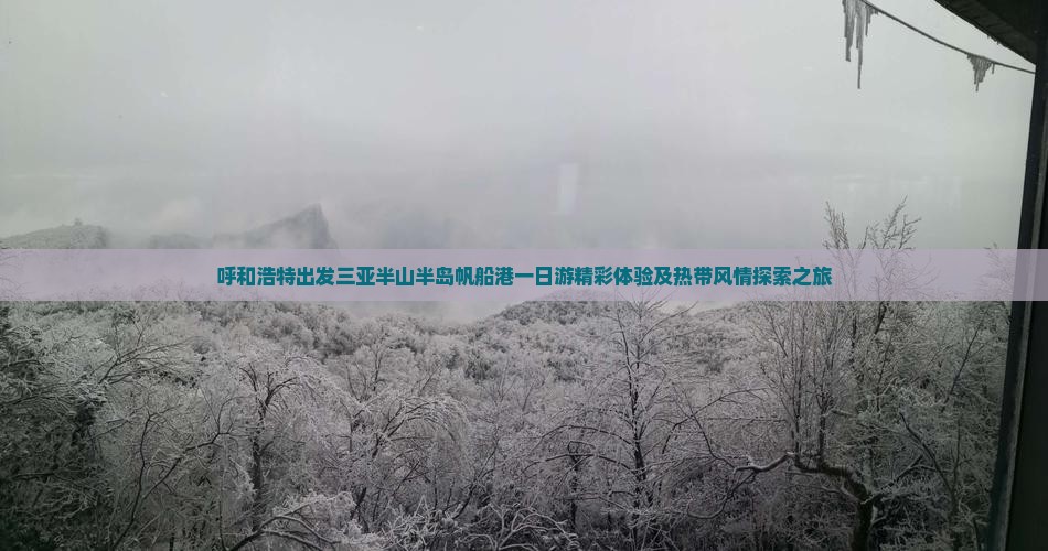 呼和浩特出发三亚半山半岛帆船港一日游精彩体验及热带风情探索之旅