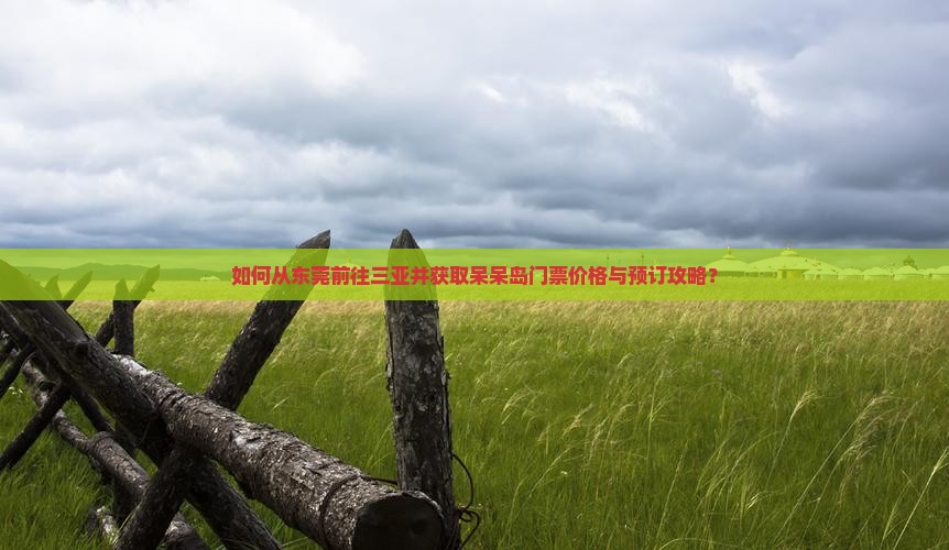 如何从东莞前往三亚并获取呆呆岛门票价格与预订攻略？