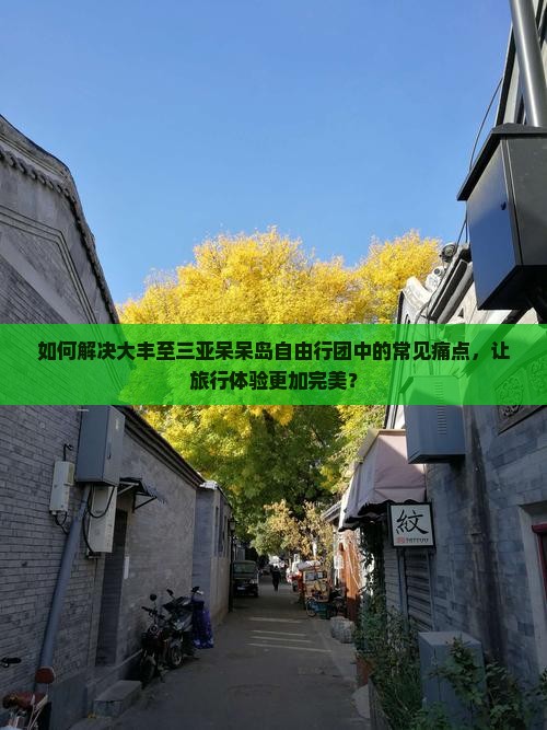 如何解决大丰至三亚呆呆岛自由行团中的常见痛点，让旅行体验更加完美？