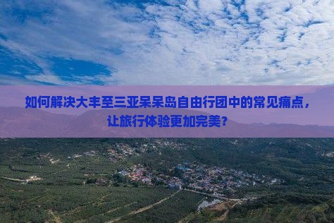 如何解决大丰至三亚呆呆岛自由行团中的常见痛点，让旅行体验更加完美？