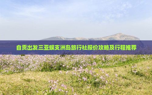 自贡出发三亚蜈支洲岛旅行社报价攻略及行程推荐