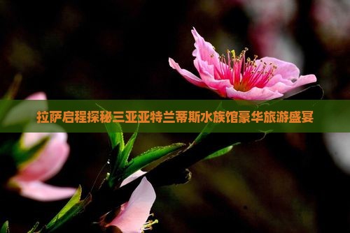 拉萨启程探秘三亚亚特兰蒂斯水族馆豪华旅游盛宴
