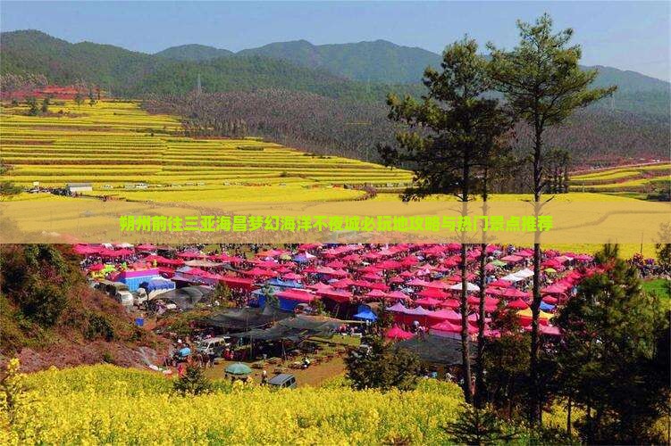 朔州前往三亚海昌梦幻海洋不夜城必玩地攻略与热门景点推荐