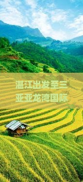 湛江出发至三亚亚龙湾国际玫瑰谷旅游团如何解决团员个性化需求，打造高品质体验？