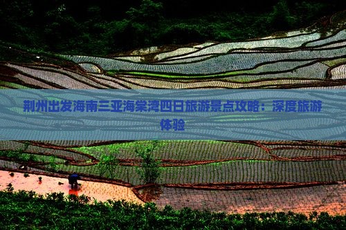 荆州出发海南三亚海棠湾四日旅游景点攻略：深度旅游体验