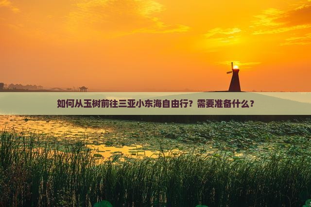 如何从玉树前往三亚小东海自由行？需要准备什么？
