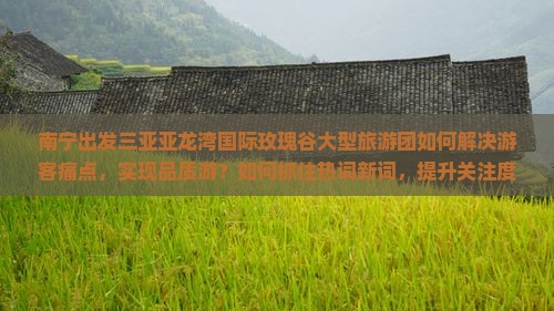 南宁出发三亚亚龙湾国际玫瑰谷大型旅游团如何解决游客痛点，实现品质游？如何抓住热词新词，提升关注度？
