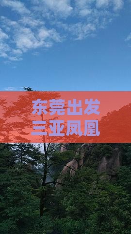 东莞出发三亚凤凰岛四日游费用及路线与时长