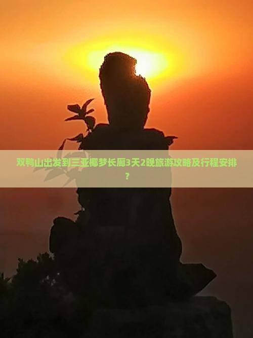 双鸭山出发到三亚椰梦长廊3天2晚旅游攻略及行程安排？