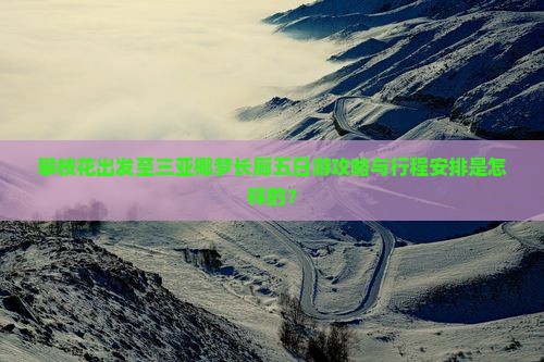 攀枝花出发至三亚椰梦长廊五日游攻略与行程安排是怎样的？