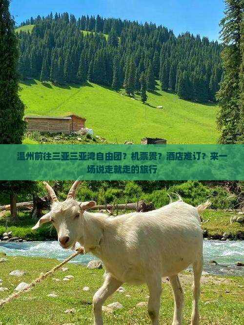 温州前往三亚三亚湾自由团？机票贵？酒店难订？来一场说走就走的旅行