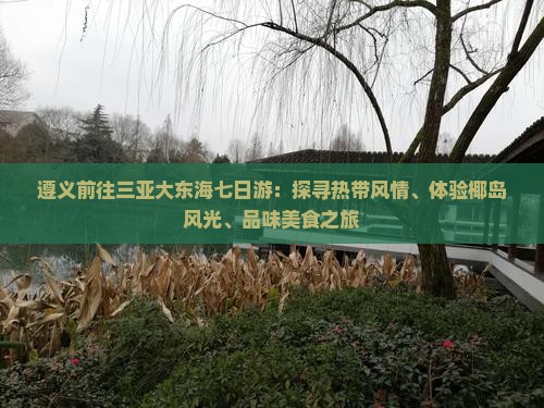 遵义前往三亚大东海七日游：探寻热带风情、体验椰岛风光、品味美食之旅