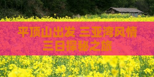 平顶山出发 三亚湾风情三日探秘之旅