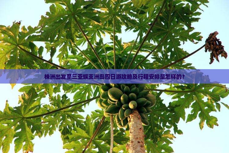 株洲出发至三亚蜈支洲岛四日游攻略及行程安排是怎样的？
