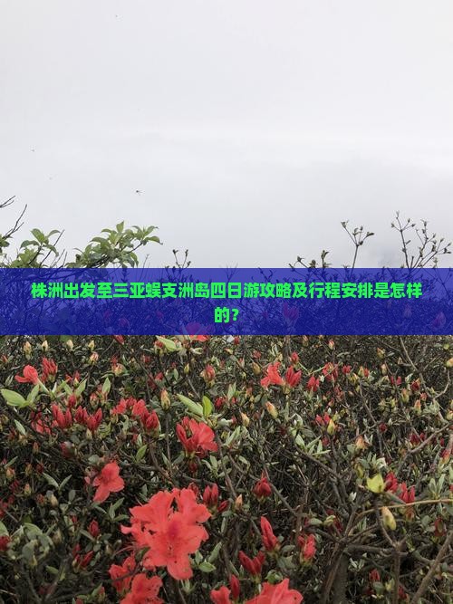 株洲出发至三亚蜈支洲岛四日游攻略及行程安排是怎样的？