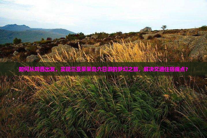 如何从鸡西出发，实现三亚呆呆岛六日游的梦幻之旅，解决交通住宿痛点？