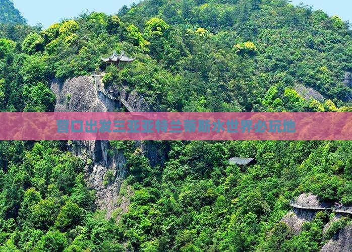 营口出发三亚亚特兰蒂斯水世界必玩地